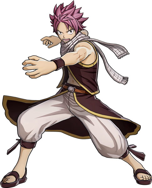 Fairy Tail (Video Game), Fairy Tail Wiki